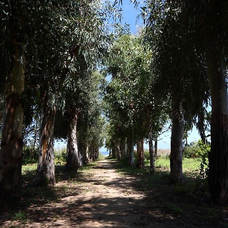 Verdemare Cefalù Dış mekan fotoğraf